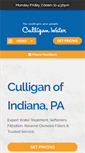 Mobile Screenshot of culliganman.biz